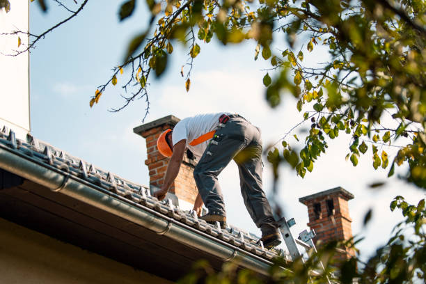 Best Roof Restoration Services  in Bluffton, OH