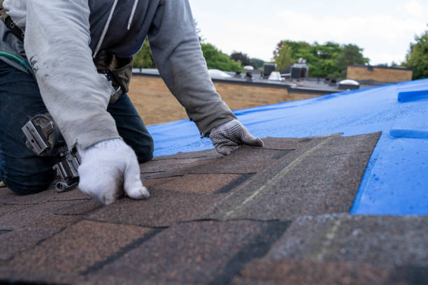 Best Roofing Contractors for Homes  in Bluffton, OH